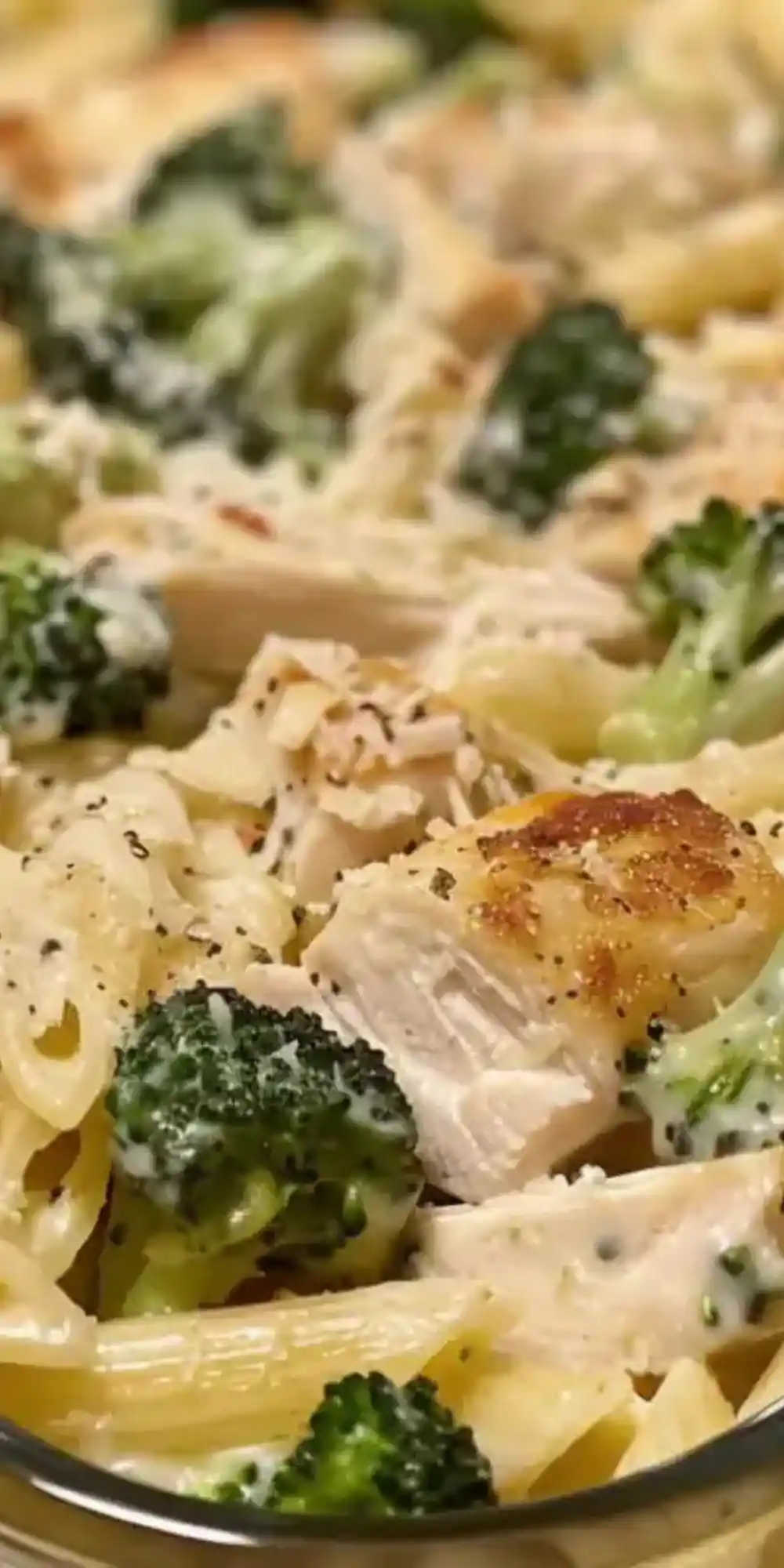 chicken broccoli alfredo pasta
