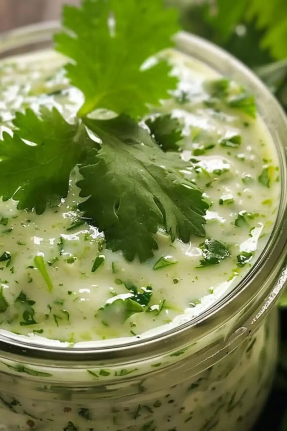 Creamy Avocado Cilantro Lime Dressing Recipe